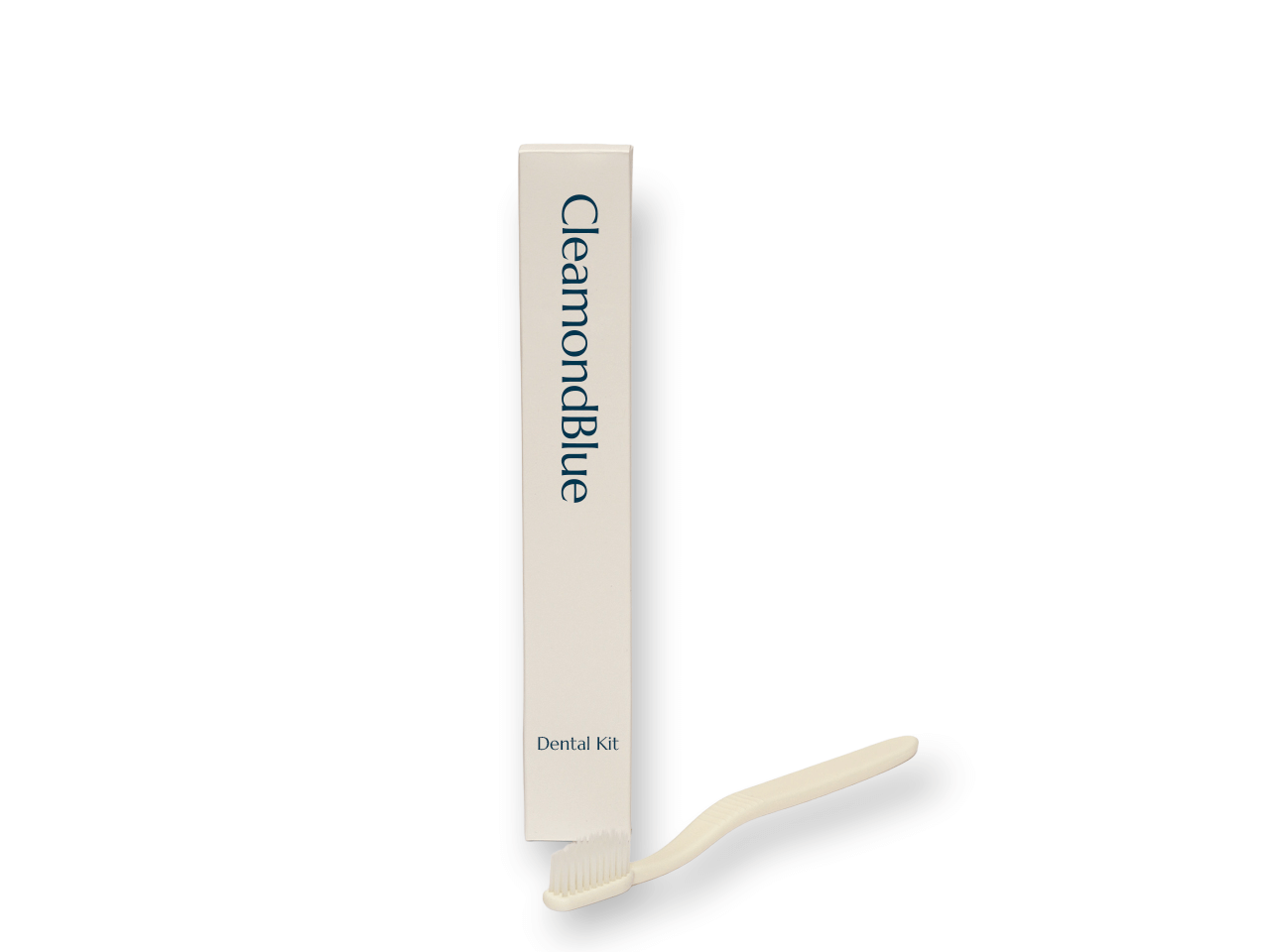 Dental Kit